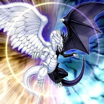 Light and Darkness Dragon