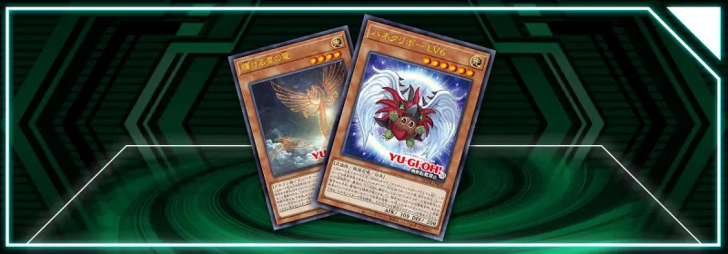 OCG: QCDB - Các lá bài GX & 5D mới