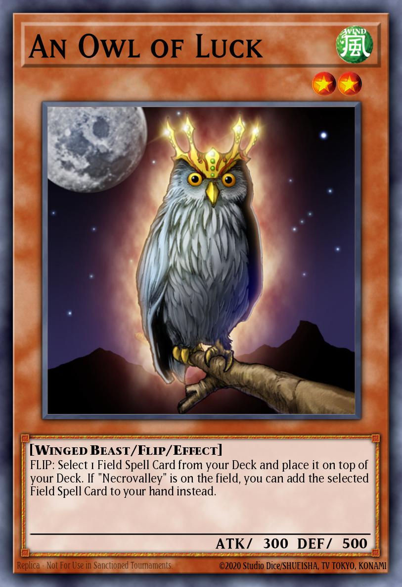 An Owl of Luck