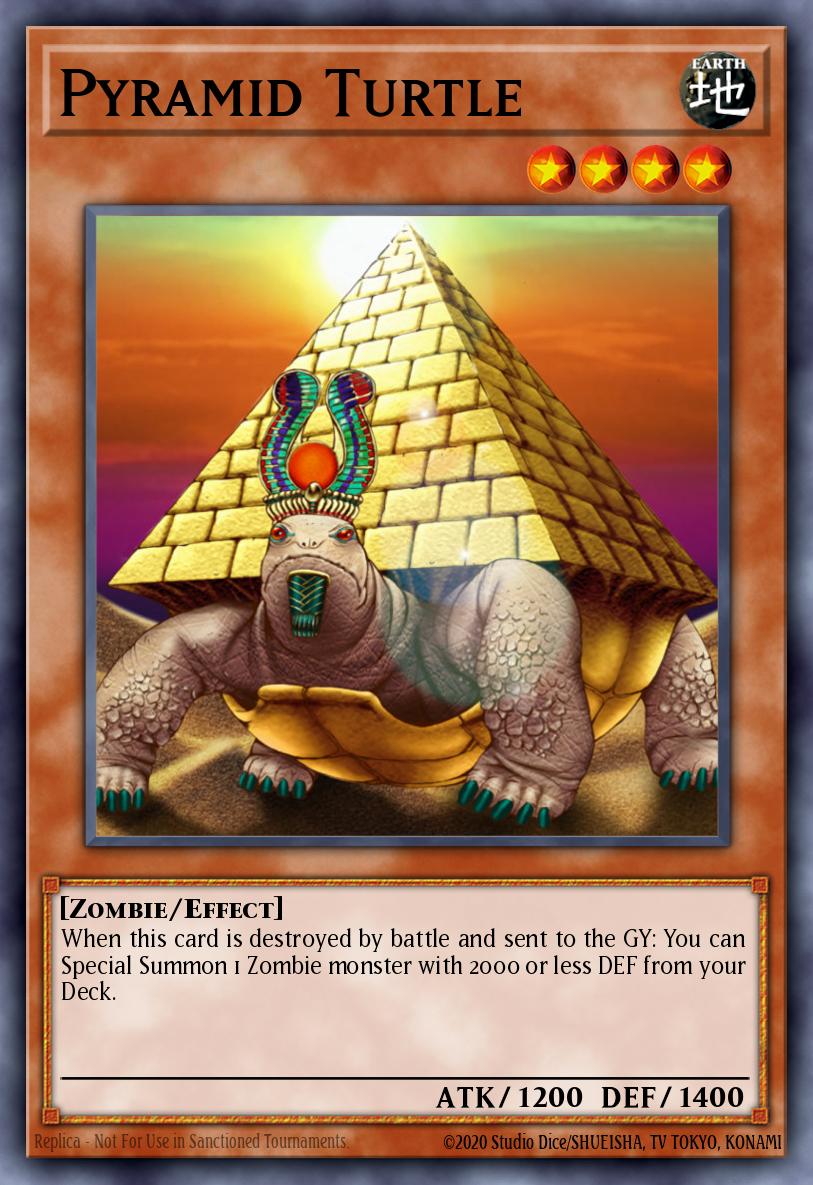 Pyramid Turtle