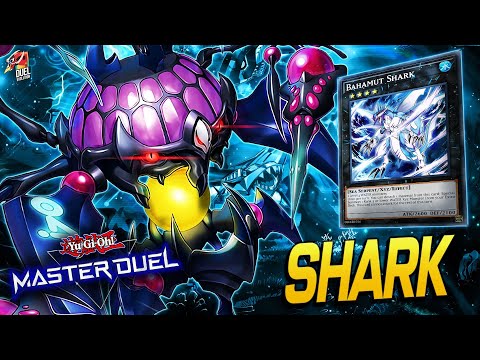 Shark Game Guide