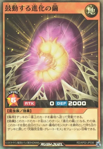 Pulsating Cocoon of Evolution