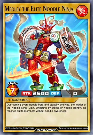 Medley the Elite Noodle Ninja