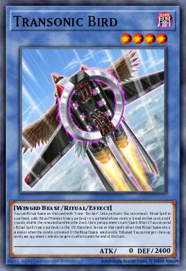 Transonic Bird