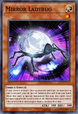 Mirror Ladybug