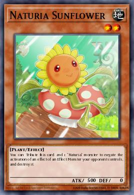 Naturia Sunflower